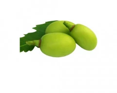 Dried Neem Seed required in Thanjavur