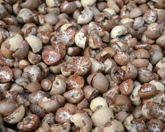 Normal Arecanut required in Pune