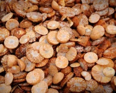 Dried Arecanut required in Surat