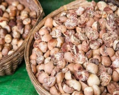 Gini Arecanut required in Lakhimpur