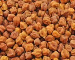 Indian Chana for sale in Nandyal