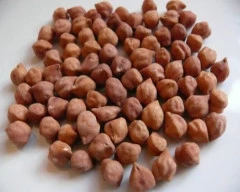 Indian Chana required in Purba Burdwan