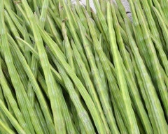 A Grade Quality Drumstick for sale in Anantapur