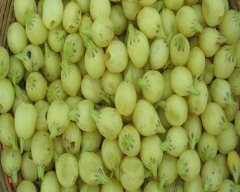 A Grade Quality Mahua required in Gadag