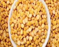 Indian Chana Dal required in Harda