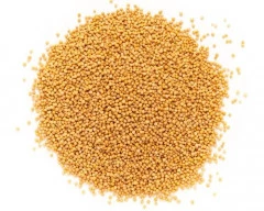 Yellow Mustard required in Gaya