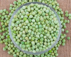 Dried green Green Peas for sale in Panipat