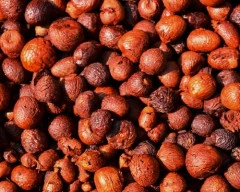 Rashi Arecanut for sale in Erode
