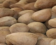 A Grade Quality Copra for sale in Tumakuru