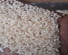 Broken Rice for sale in Katni