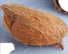 De Husked Coconut for sale in East Godavari
