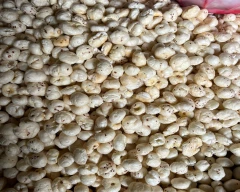 5 Suta Makhana for sale in Katihar