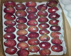 Shimla Apple for sale in Koderma
