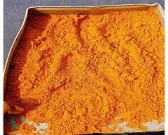 Powder Turmeric for sale in North West Delhi
