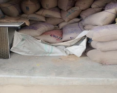 B Grade Quality Wheat for sale in Gorakhpur