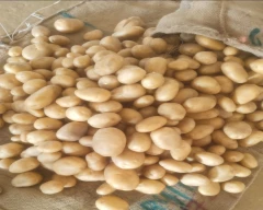 Pukhraj Potato required in Fatehpur