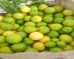 A Grade Quality Lemon for sale in Vijayapura