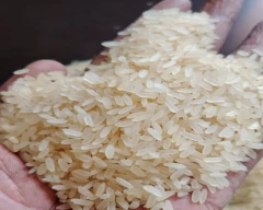 IR 64 Rice for sale in Purba Burdwan