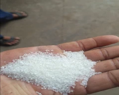 S - 30 Sugar for sale in Kolhapur