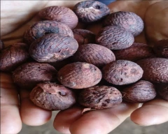 Rashi Arecanut for sale in Unakoti