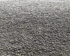 Black Urad for sale in Ganjam