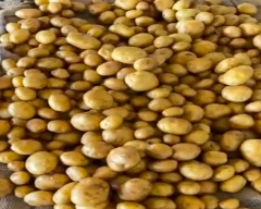 3797 Potato for sale in Patan