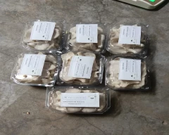 Button Mushroom for sale in Chennai