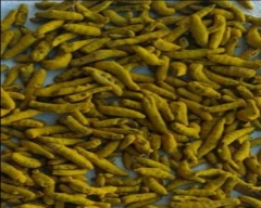 Dry Finger Turmeric for sale in Hojai