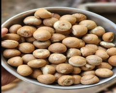 Jam Arecanut required in Dakshina Kannada