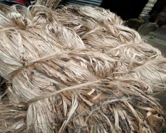 A Grade Quality Jute for sale in Nadia