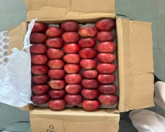 Royal Apple for sale in Bengaluru Rural
