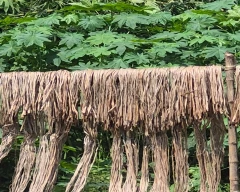 A Grade Quality Jute for sale in Nadia