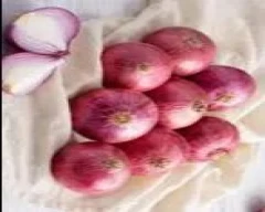 B Grade Quality Onion for sale in Singrauli