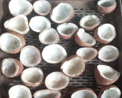 A Grade Quality Copra for sale in Coimbatore