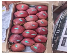 Kashmiri Apple for sale in Chittoor
