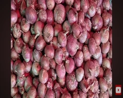 A Grade Quality Onion for sale in Malda