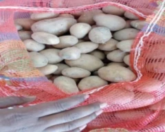 Chipsona Potato for sale in Aligarh