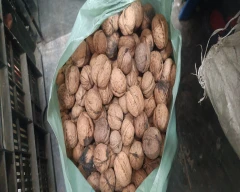 Kashmiri Wal nut for sale in Ramban