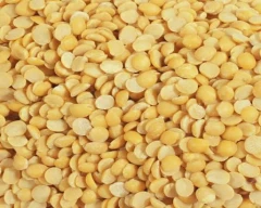 Indian Tur Dal for sale in Kolhapur