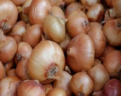White Onion for sale in Jaipur