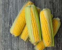 Corn Maize required in East Godavari