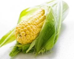 Corn Maize required in Hamirpur