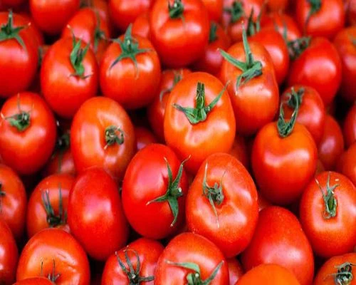 Orange Tomato Rice Normal Tomato required in Garhwa, Jharkhand - commodityonline