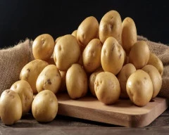 302 Potato for sale in Agra