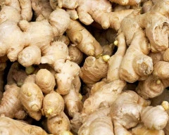 C Grade Quality Ginger required in Mysuru