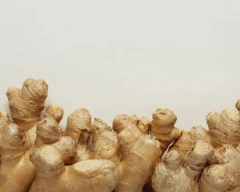 A Grade Quality Ginger required in Allahabad