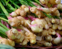 A Grade Quality Ginger required in Aurangabad