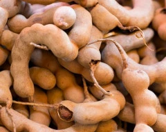 A Grade Quality Tamarind required in Dharmapuri