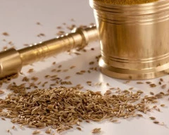 Brown Jeera required in Katihar