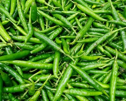 Buy Hybrid Green Chilli from Ballari, Karnataka at Wholesale Price of ...